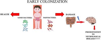 The Contribution of Gut Microbiota–Brain Axis in the Development of Brain Disorders